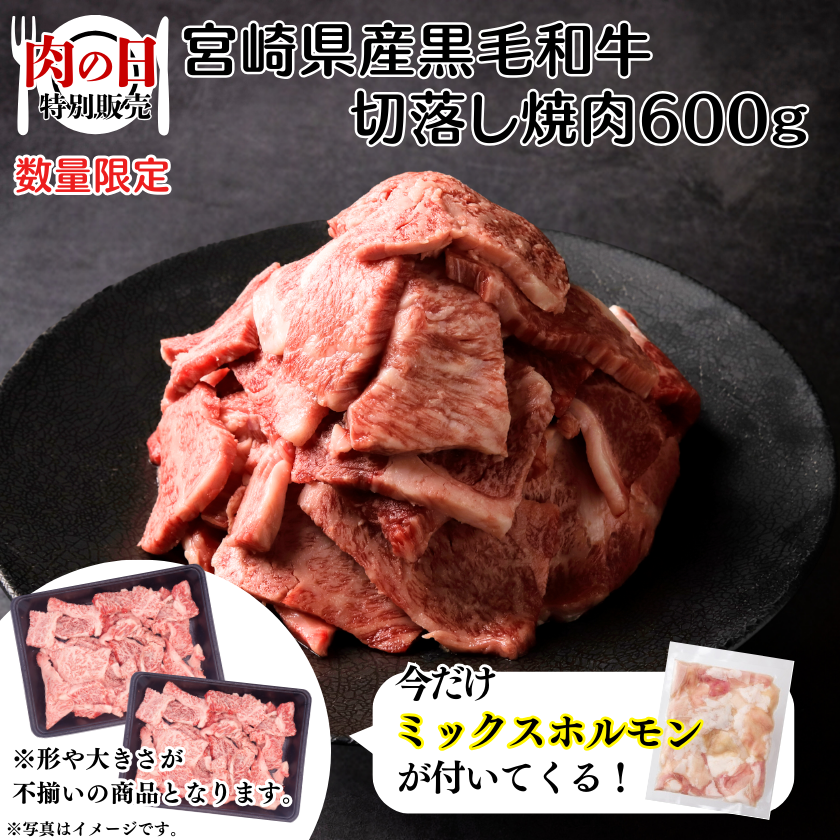 宮崎県産和牛切落し焼肉600g＋ミックスホルモン【3/29】【肉の日