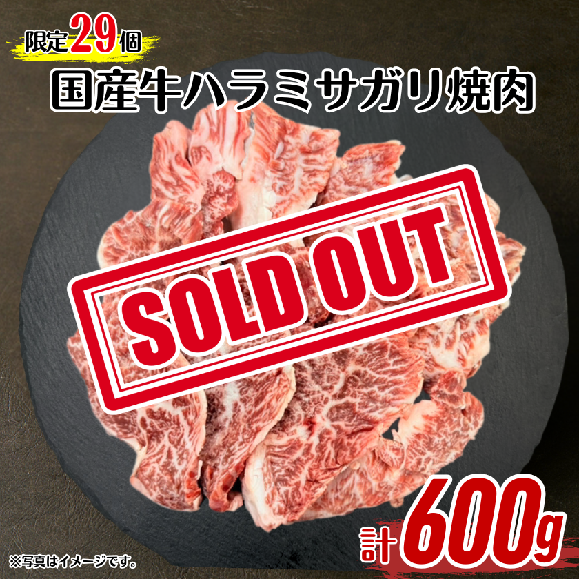 限定29個》国産牛ハラミサガリ焼肉600g【4/29肉の日】 / 宮崎牛の