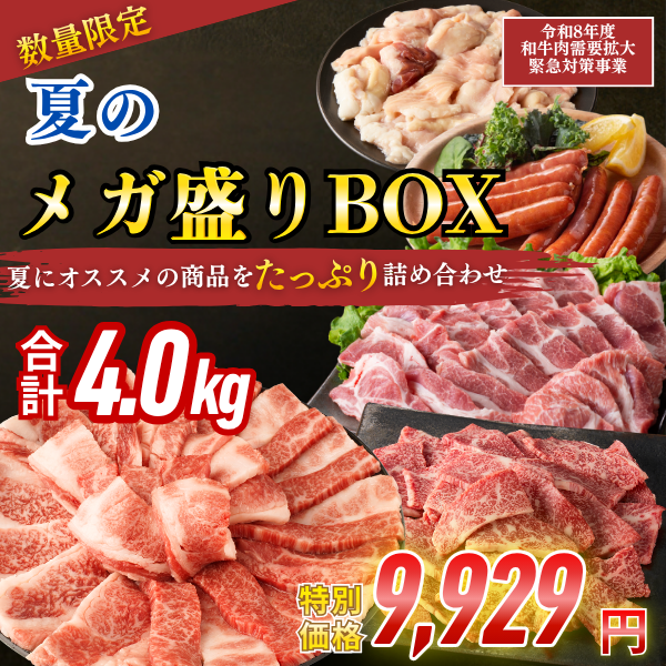 ☆【畜産農家応援】夏のメガ盛りBOX計4kg【SUMMERSALE】 / 宮崎牛の