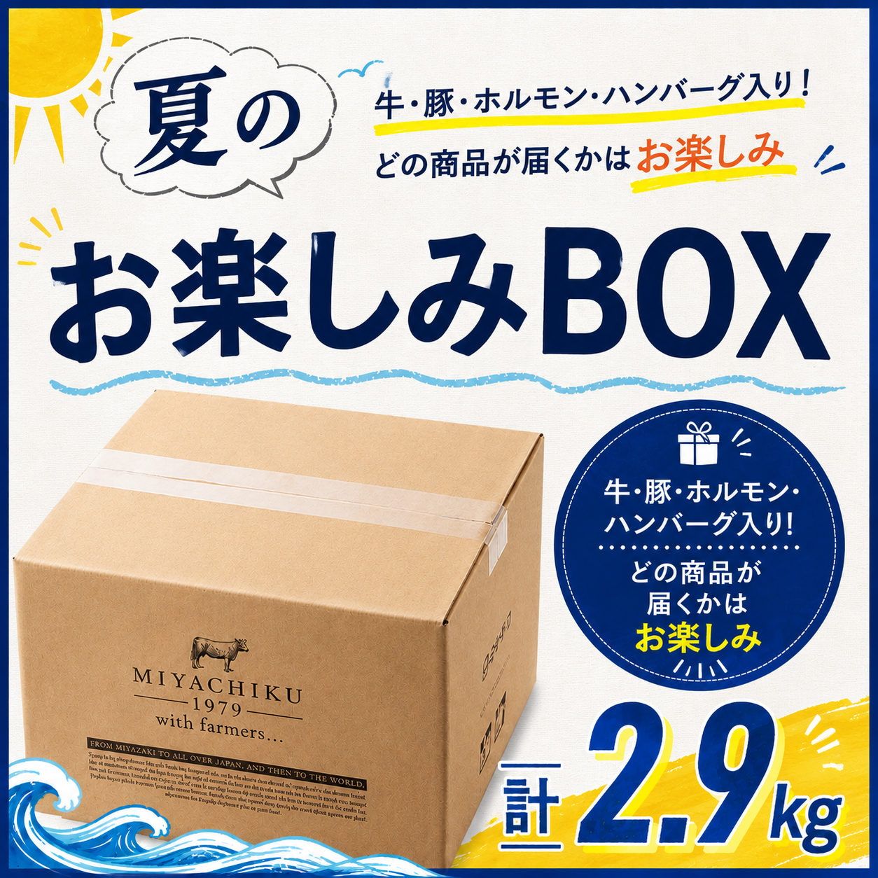 ☆夏のお楽しみBOX2.9kg【SUMMERSALE】 / 宮崎牛のギフト 通販