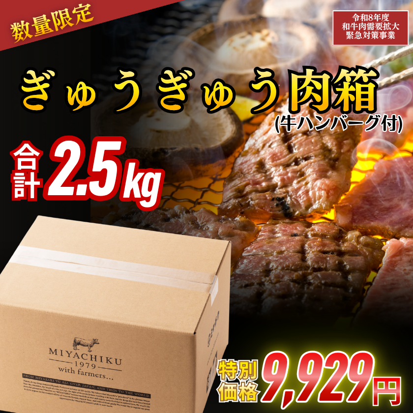 ☆【畜産農家応援】ぎゅうぎゅう肉箱(牛ハンバーグ付) 計2.5kg【7/29肉